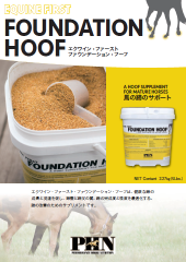 Read more about the article FOUNDATION HOOF